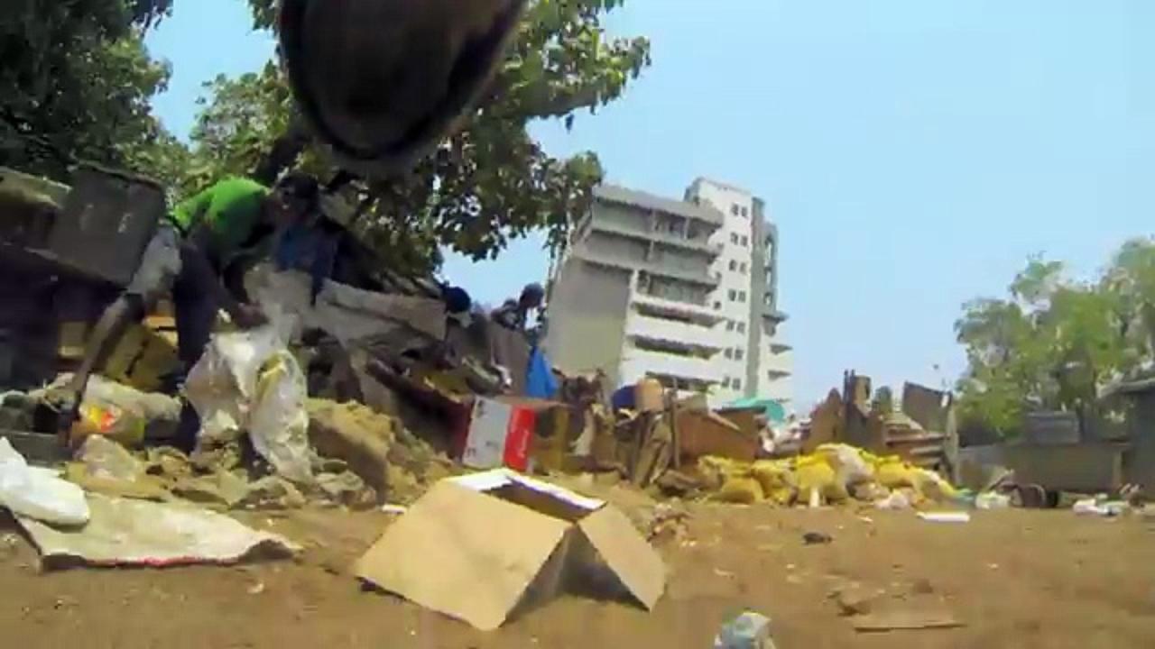 CANE RANDAGIO CON GOPRO AL COLLO. ECCO COME PASSA LA GIORNATA - VIDEO - 10/07/2015