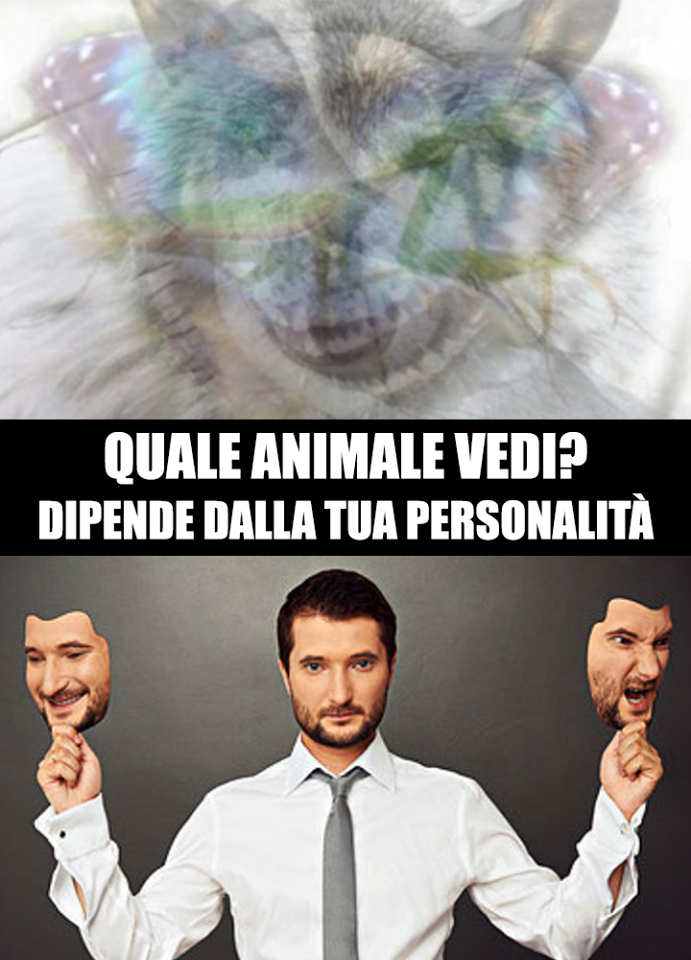 IL PRIMO ANIMALE CHE DISTINGUI IN QUESTA IMMAGINE: RILEVERA' I SEGRETI DELLA TUA PERSONALITA' - 18/12/2017