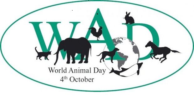 Giornata mondiale degli Animali: il 4 ottobre si festeggiano gli amici a 4 zampe - 04/10/2012