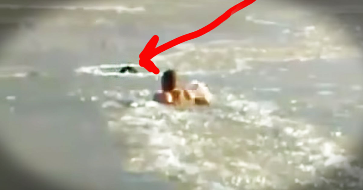 IL SUO CANE STA PER ANNEGARE IN UN LAGO DI GHIACCIO, QUELLO CHE ACCADE E' UN ATTO EROICO - VIDEO - 16/04/2015