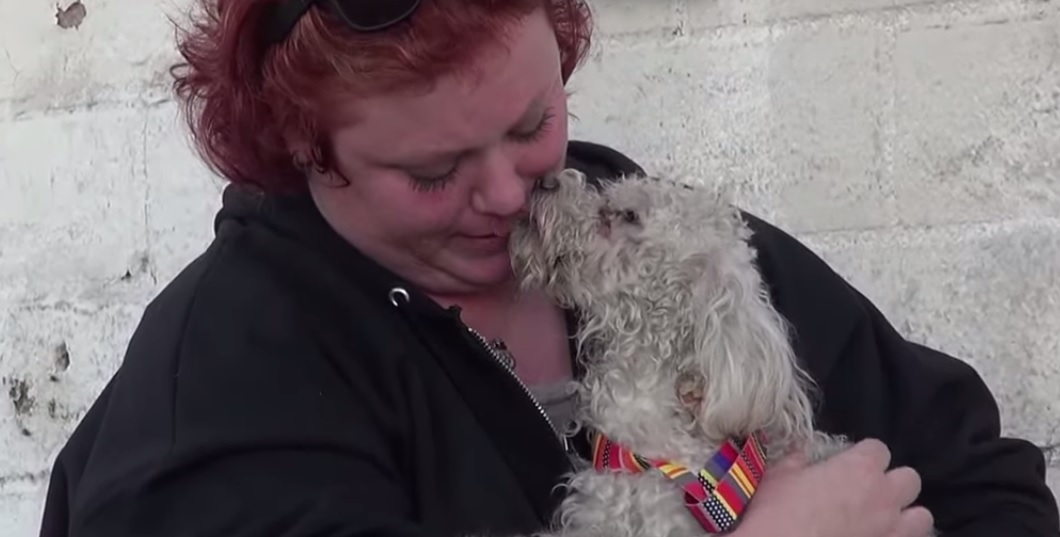 UNA CAGNOLINA FERITA VIENE SALVATA DAGLI OPERATORI. LA SUA REAZIONE COMMUOVE TUTTI - VIDEO - 26/04/2015