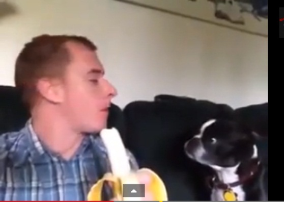 UN CANE ED IL PADRONE MANGIARE UNA BANANA INSIEME - VIDEO - 01/04/2014