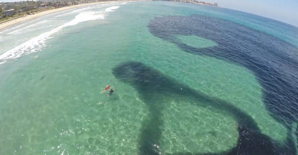 SEMBRA UN'ENORME CHIAZZA DI PETROLIO MA IN REALTA' E' UNO SPETTACOLO MERAVIGLIOSO - VIDEO - 30/09/2014