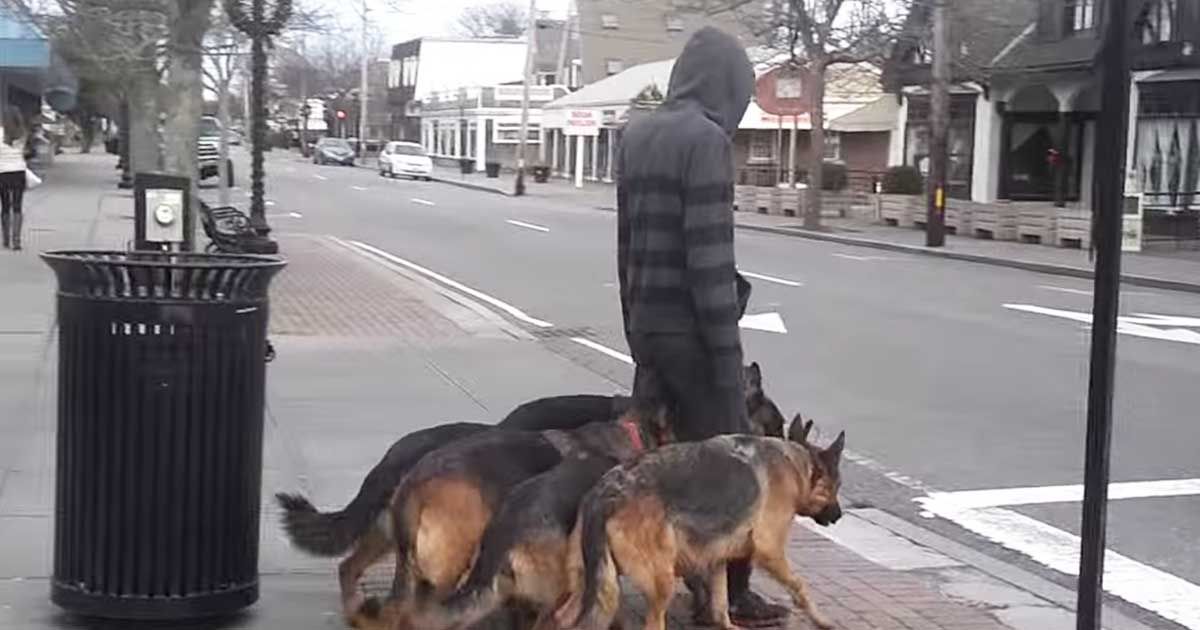 QUEST'UOMO NON USA IL GIUNZAGLIO CAMMINANDO PER STRADA CON UN BRANCO DI CANI - 15/12/2014