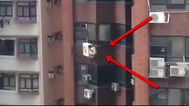 IL MARITO TORNA A CASA E L'AMANTE RIMANE SOSPESO FUORI DAL BALCONE - VIDEO - 24/06/2014