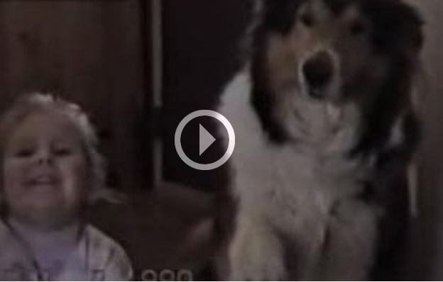 NON CREDETE CHE I CANI POSSANO SORRIDERE? ECCO PERCHE' VI SBAGLIAVATE - VIDEO - 21/07/2014