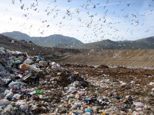 DIVENTA RICCA ROVISTANDO TRA I RIFIUTI DI UNA DISCARICA - 13/03/2015