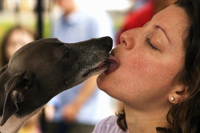 VIVERE CON I CANI FA BENE ALL'UOMO, LO DICE LA SCIENZA. ECCO PERCHE' - 03/06/2015