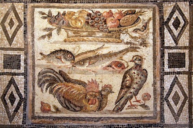 L'IMPOSSIBILE MOSAICO ROMANO: LA CLAMOROSA SCOPERTA ALLE TERME DI ROMA - 10/07/2015