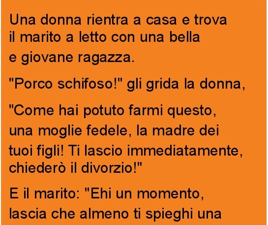 UNA DONNA RIENTRA A CASA E TROVA IL MARITO A LETTO CON... - 05/09/2016