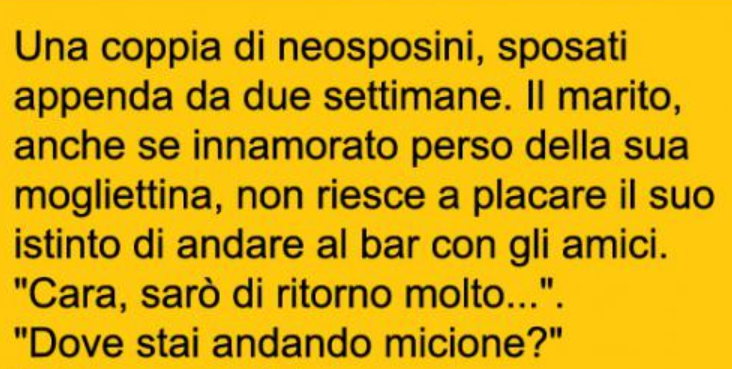 UNA COPPIA DI NEOSPOSINI SPOSATI DA APPENA DUE SETTIMANE... - 07/02/2016