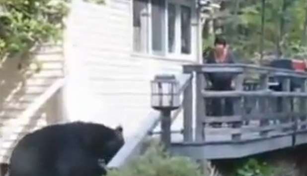 L'ORSO SPAVENTATO DALLE GRIDA DI UNA DONNA: VIDEO BOOM SUL WEB - 02/10/2012