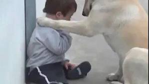 L'amore che sa dimostare un cane nei confronti di un bambino down è emozionante - VIDEO - 29/11/2012