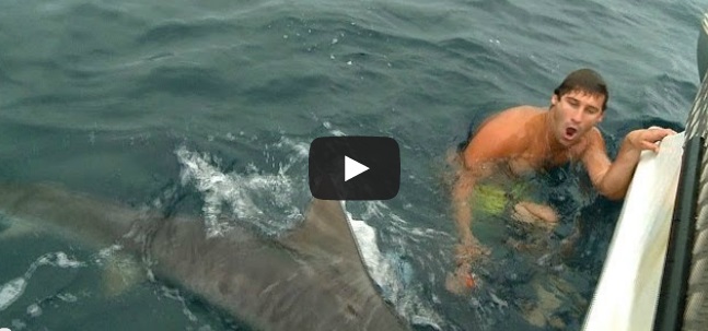 FA IL BAGNO IN MARE, SALVO PER MIRACOLO, LO SQUALO STAVA PER MANGIARLO - VIDEO - 15/01/2014