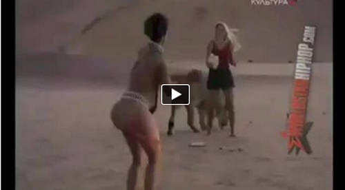 INCREDIBILE IL CORAGGIO CHE HA QUESTA DONNA CON ANIMALI FEROCI - VIDEO - 23/01/2014