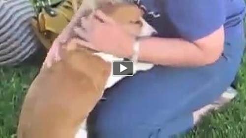 QUESTO E' L'AMORE CHE PUO' DARTI UN CANE - VIDEO - 23/01/2014