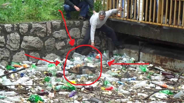 SALVA UN CANE DA MORTE CERTA, PER FORTUNA CI SONO QUESTE PERSONE - VIDEO VIRALE - 20/05/2014