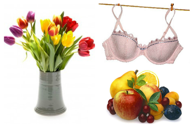 I TRUCCHI PER FAR DURARE PIU' A LUNGO LE COSE, DAI FIORI AI REGGISENI - ECCO COME - 10/11/2015