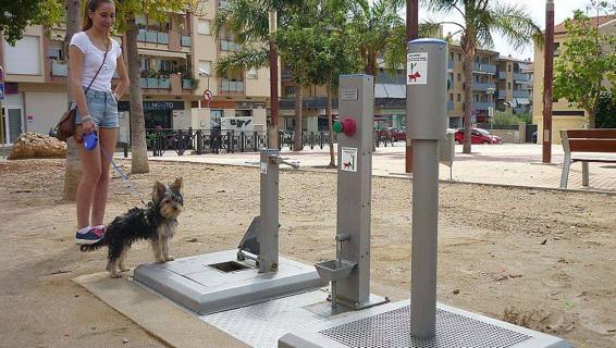 SPAGNA, INVENTATA LA TOILETTE PUBBLICA PER CANI - 21/05/2015