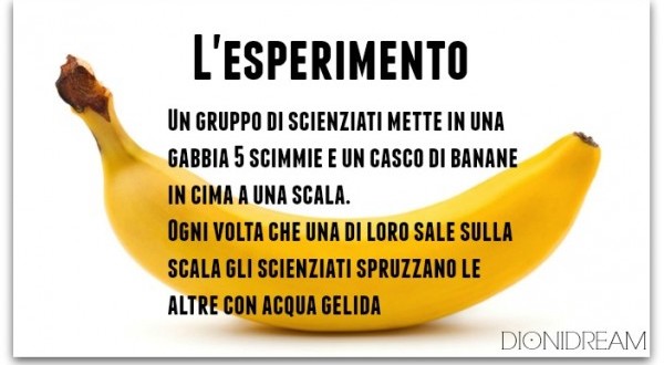 L' ESPERIMENTO DELLA BANANA - GUARDA E NON TE NE PENTIRAI - 27/07/2016