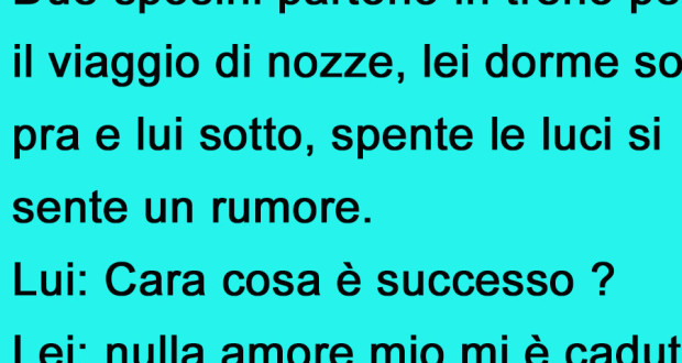 DUE SPOSINI SUL TRENO? - 27/07/2016