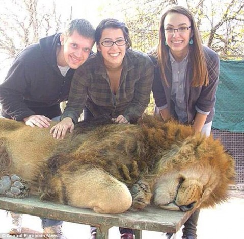 15 GOCCE DI VALIUM AL LEONE E IL SELFIE E' FATTO. ANIMALI MALTRATTATI NELLO ZOO. IL WEB SI INDIGNA - 11/05/2015