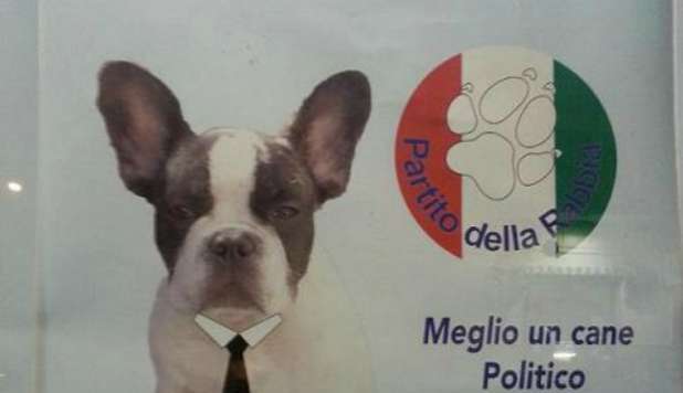 UN CANE CANDIDATO. 'VOTA STEFANO, MEGLIO DEI POLITICI' - FOTO - 09/10/2012