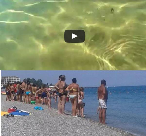 MISTERO NEL MARE ITALIANO - BAGNANTI TERRORIZZATI: STA ACCADENDO IN QUESTI ISTANTI - 31/07/2017