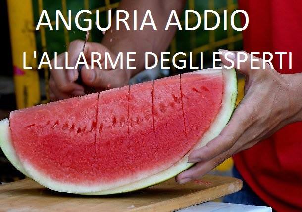 DITE ADDIO ALL'ANGURIA: L'ALLARME DEGLI ESPERTI PER QUESTI FRUTTI ESTIVI - 27/07/2017