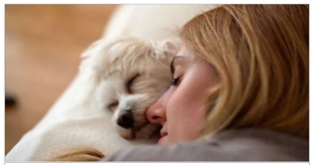 FA BENE FAR DORMIRE IL CANE IN CAMERA DA LETTO? LA RISPOSTA VI SORPRENDERA' - 17/09/2017