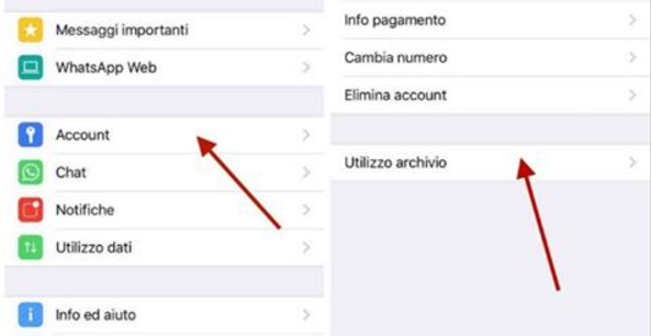 ECCO COME SCOPRIRE SE IL TUO PARTNER TI TRADISCE SU WHATSAPP CON UNA SEMPLICE MOSSA - 16/09/2017