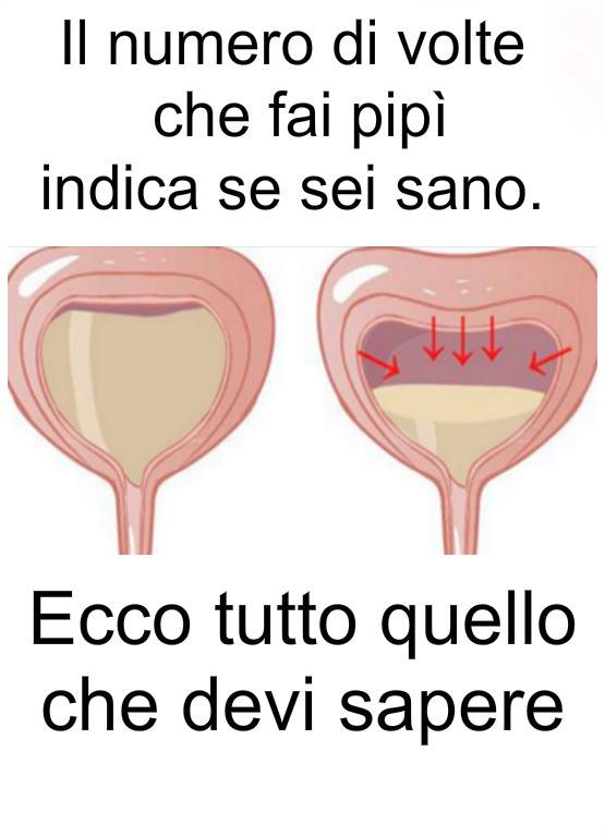 I NUMERI DI VOLTE CHE FAI PIPI' INDICANO SE SEI SANO: ECCO TUTTO QUELLO CHE DEVI SAPERE - 05/11/2017