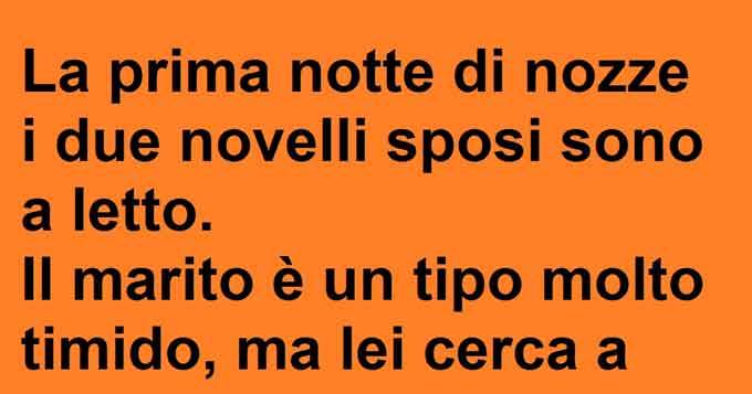 LA PRIMA NOTTE DI NOZZE I DUE NOVELLI SPOSI SONO A LETTO... - 01/08/2016