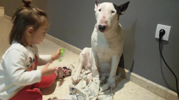 IL CANE E LA BAMBINA: UN'INCREDIBILE STORIA D'AMORE - VIDEO - 07/05/2015