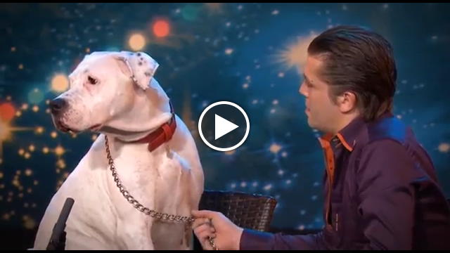 IL CANE SALE SUL PALCO E LASCIA TUTTI SENZA PAROLE - VIDEO - 21/05/2015