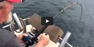 PESCA UN PESCE ENORME, UNO SQUALO GLI RUBA LA PREDA - VIDEO - 26/05/2015