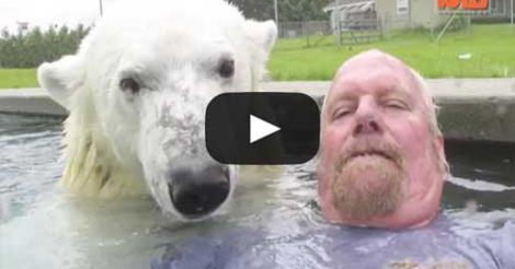 L'UNICO UOMO AL MONDO A NUOTARE CON UN ORSO POLARE - VIDEO - 30/05/2015