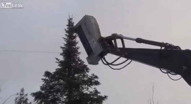 UN MACCHINARIO CHE DISBOSCA UN'INTERA FORESTA IN POCHI MINUTI - VIDEO - 16/09/2014