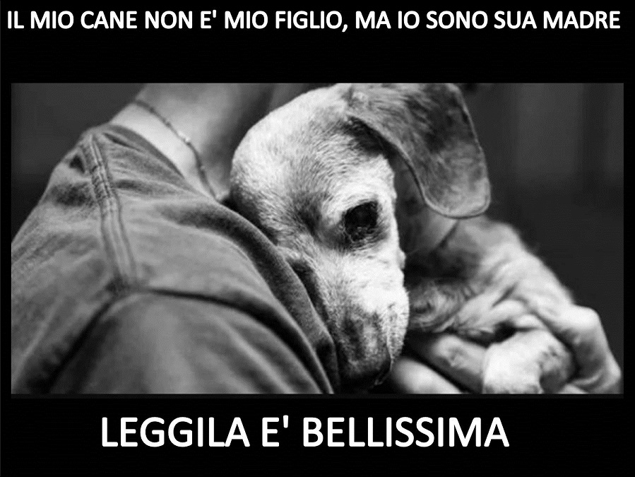 IL MIO CANE NON E' MIO FIGLIO, MA IO SONO SUA MADRE - LEGGILA E' BELLISSIMA - 29/11/2017