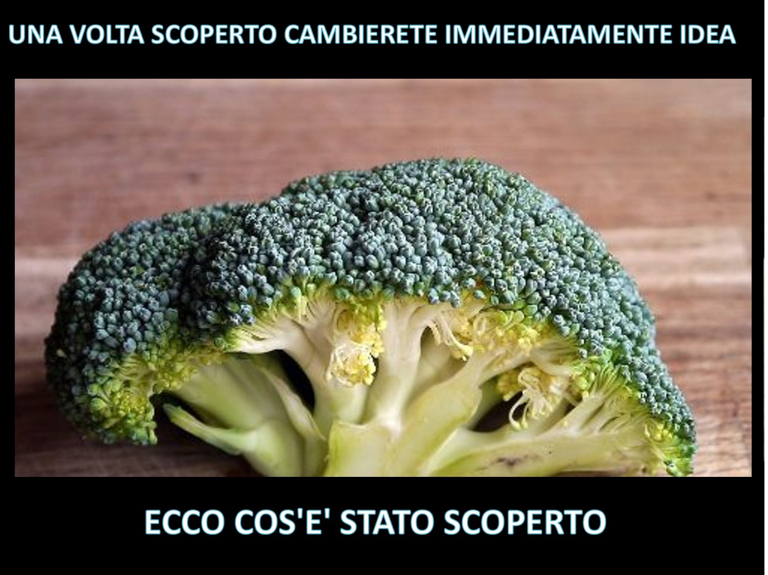 UNA VOLTA SCOPERTO CAMBIERETE IMMEDIATAMENTE IDEA: ECCO COS'E' STATO SCOPERTO - 20/12/2017