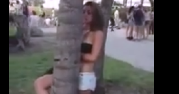 ESAGERA CON L'ALCOOL: RAGAZZA UBRIACA SI SPOGLIA E POMICIA CON UN ALBERO - VIDEO - 22/04/2014